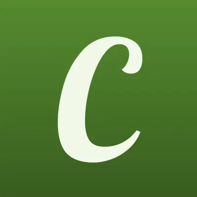 ЧР-Сервис, компания, лого-визитка