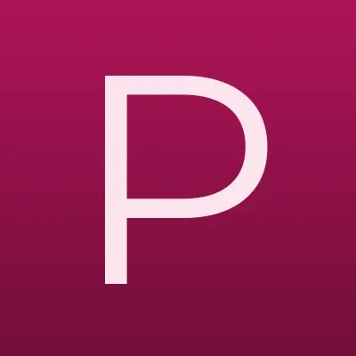 Pro Service, лого-визитка